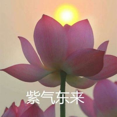 战龙war dragons最新版下载